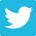 logo_twitter