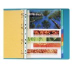 Intercalaire A4+ carte lustrée colorée Exacompta 12 onglets neutres - Coloris assortis - 1 jeu