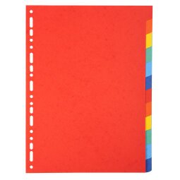 Intercalaire A4 en carte lustrée Exacompta 12 onglets neutres multicolores - 1 jeu