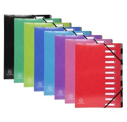 Exacompta Iderama Harmonika Multipart File, A4, 12 sections - Assorted colours