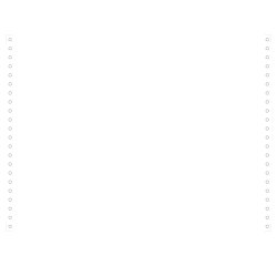 "2000 feuilles de listing blanc 380x11"" 1pli Bandes Caroll Détachables 70g" - Blanc