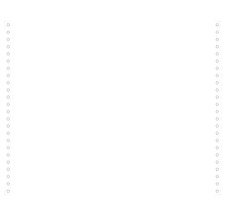"2000 feuilles de listing blanc 380x12"" 1pli Bandes Caroll Détachables 70g" - Blanc