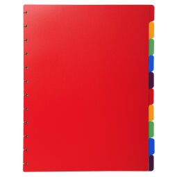 Coloured polypropylene dividers 10 part for removable display book.