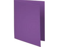 Pk 100 Folders Forever A4 170gsm