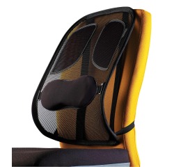 Fellowes support dorsal Professional Series