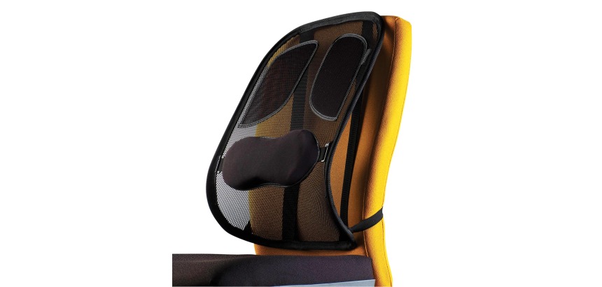 Fellowes support dorsal Professional Series