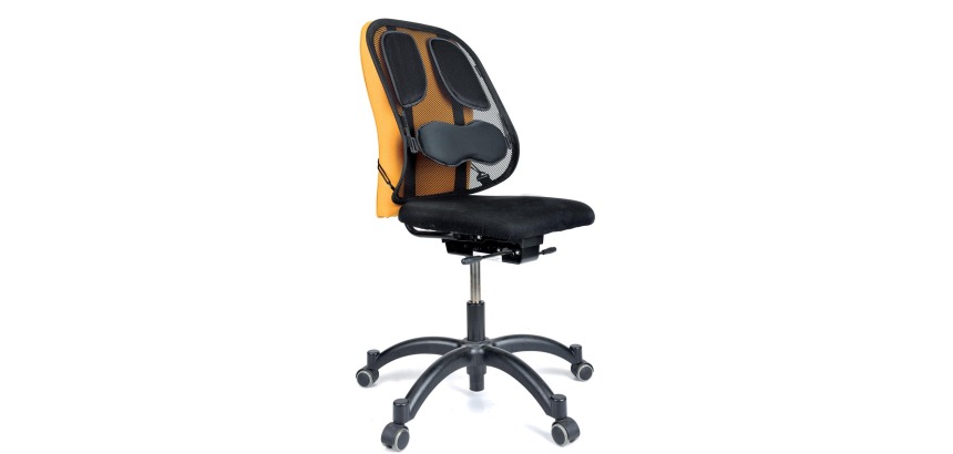 Fellowes Professional Series Back Support