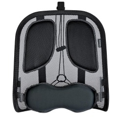 Fellowes support dorsal Professional Series