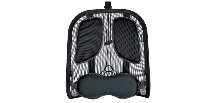 Fellowes support dorsal Professional Series