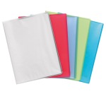 Exacompta Chromaline Display Book, 80 Views, A4, Semi Rigid PP