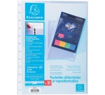 Gekörnte repositionierbare Ersatzhüllen für Sichtmappen mit Ringen, Packung mit 10 Stück - Transluzent