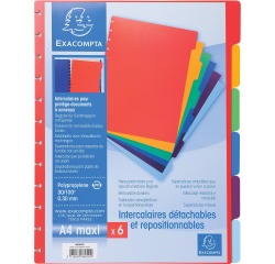 Exacompta uitneembare tabbladen voor showalbum met ringen, in gekleurd PP, 6 tabs