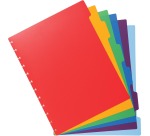 Exacompta uitneembare tabbladen voor showalbum met ringen, in gekleurd PP, 6 tabs