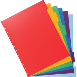 Polypropylene 6 part coloured dividers for removable display book.