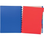 Exacompta uitneembare tabbladen voor showalbum met ringen, in gekleurd PP, 6 tabs