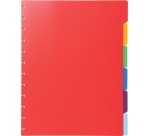 Exacompta uitneembare tabbladen voor showalbum met ringen, in gekleurd PP, 6 tabs