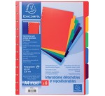 Exacompta uitneembare tabbladen voor showalbum met ringen, in gekleurd PP, 6 tabs