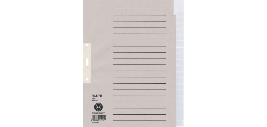 Leitz tabbladen, ft A4, uit karton, 2-gaatsperforatie, 20 tabs, blanco