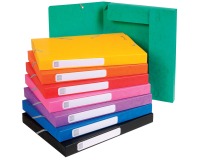 Archivbox Cartobox, flach geliefert, Rücken 25mm aus Colorspan-Karton, mit 3 Klappen und Gummizug, 25x33cm für DIN A4