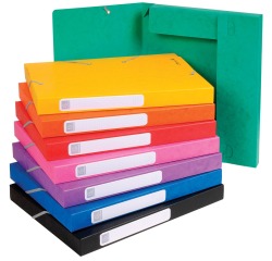 Exacompta Boîte de classement Cartobox dos de 2,5 cm, couleurs assorties: vert, bleu, jaune, rouge, or...