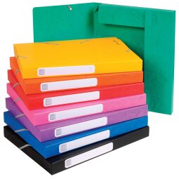 Archivbox Cartobox, flach geliefert, Rücken 25mm aus Colorspan-Karton, mit 3 Klappen und Gummizug, 25x33cm für DIN A4 - Farben sortiert