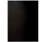 ROCK''S 210 Pak van 10 dossiermappen 210g/m2 24x32cm voor A4.