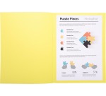 Pk 100 Folders SUPER 160 Salmon