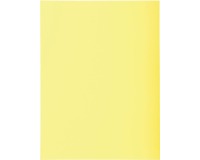 Pk 100 Folders SUPER 160 Salmon