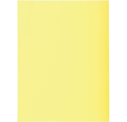 Pk 100 Folders SUPER 160 Salmon