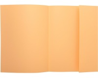 Pk 100 Folders SUPER 160 1 Flap Pink