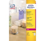 Avery transparante Crystal Clear etiketten ft 96 x 50,8 mm, 250 etiketten, 10 per vel