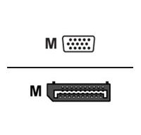 Urban Factory Câble DP Male vers VGA Male 1.80m - Noir DisplayPort VGA (D-Sub)