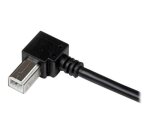 StarTech.com câble USB 2.0 A vers USB B coudé à droite Mâle / Mâle pour imprimante - 3 m - Noir