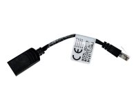 Vertiv Avocent 1 x RJ-45 Mâle Réseau - 1 x RJ-45 Femelle Réseau