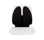 Fellowes 8026401 soutien lombaire pour dossier de siège Noir