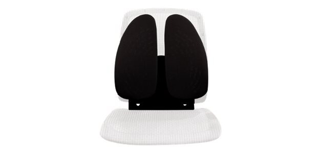 Fellowes 8026401 soutien lombaire pour dossier de siège Noir