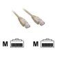 MCL Cable RJ45 Cat5E 50.0 m Grey câble de réseau Gris 50 m