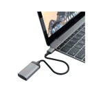 Satechi ST-TC4KHAM adaptateur graphique USB Gris