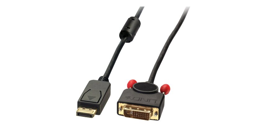 Lindy Câble adaptateur DisplayPort vers DVI-D 2m