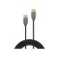 Lindy 36871 câble USB USB 2.0 1 m USB C Noir, Gris
