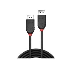 Lindy Câble DisplayPort 1.2, Black Line, 2m
