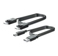 HP Câble DP et USB B vers A 300 cm pour L7016t L7014t et L7010t