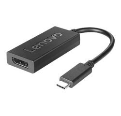 Lenovo 4X90Q93303 câble vidéo et adaptateur 0,2 m USB Type-C DisplayPort Noir