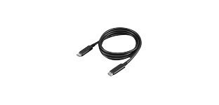 Lenovo 4X90U90619 câble USB USB 3.2 Gen 2 (3.1 Gen 2) 1 m USB C 10 Gbit/s 100 W Noir