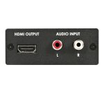 StarTech.com Convertisseur Vidéo Composante YPbPr (YUV) ou VGA et Audio vers HDMI - 1920x1200