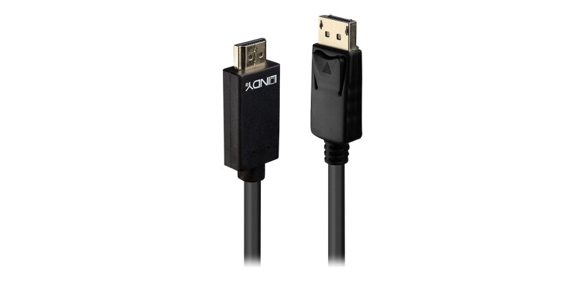 Lindy Câble adaptateur 0.5 m pour Display Port vers HDMI 4K30Hz