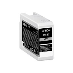 Epson T46S7 - grijs - origineel - inktcartridge