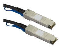 StarTech.com Câble SFP+ à connexion directe conforme aux normes MSA - Cordon DAC Twinax de 10 m