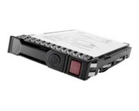 HPE 12TB SAS 12G Business Critical 7.2K LFF LP 1-year Warranty Helium 512e Multi Vendor HDD