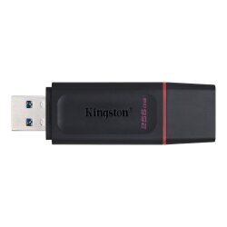 Clé USB KingstonTechnology DataTraveler Exodia 256 Go